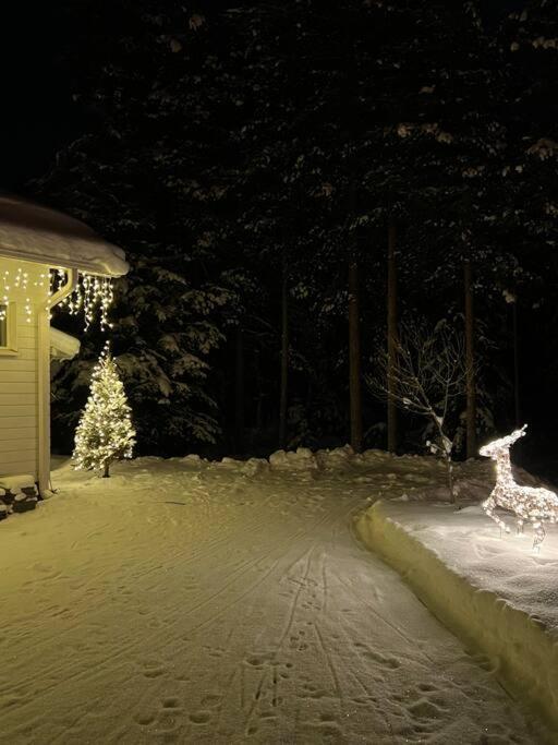 Arctic Circle Guesthouse Рованиеми Экстерьер фото